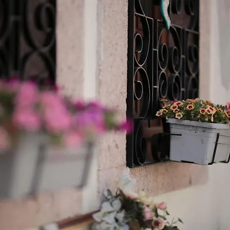 Palacitta מלון Ayvalı