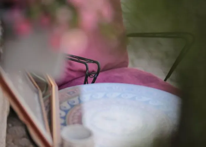 Palacitta מלון *