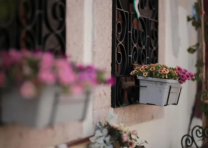 Palacitta Hotel Ayvalı